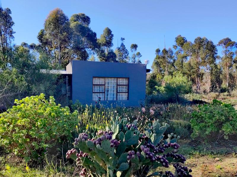 10 Bedroom Property for Sale in Montagu Western Cape